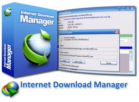 Internet Download Managerpic